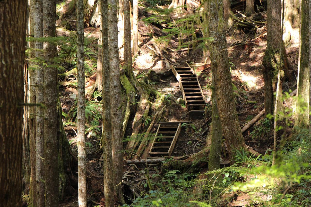 Tilby'S Rainbow Cottage Port Renfrew Exterior photo